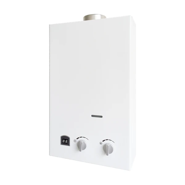 PRESTIGE PG-10 — Chauffe-bain à gaz étanche à ventouse 12 L/min