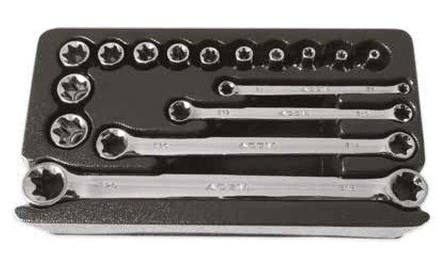Module Torx” ACEM — 586016