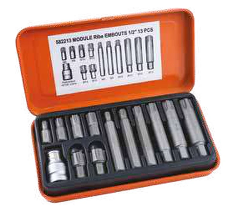 Module des embouts 1/2" RIBE ACEM — 582213