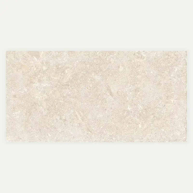 Fossil 45 × 90 cm — Porcelain tile