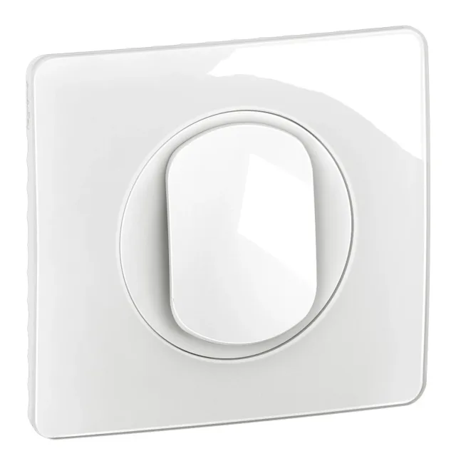 Legrand Céliane switch — 10A, 250V, 2 modules — CG0001