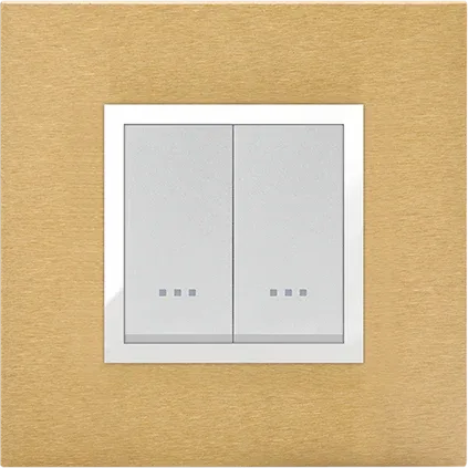 STIEL ALPHA Prestige 2-module square gold brass cover plate