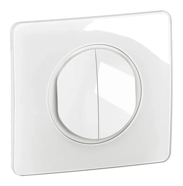 Double interrupteur ou va-et-vient 10A avec plaque Céliane – Blanc — Legrand