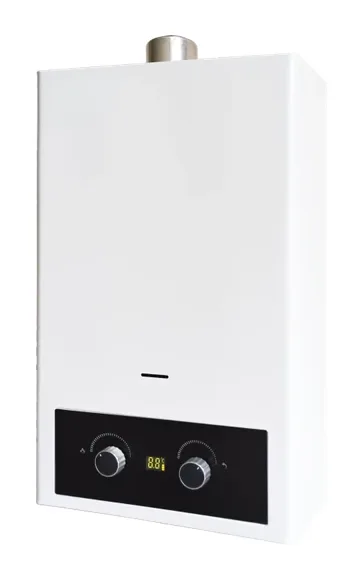 PG-09 — Gas water heater, with forced exhaust, 6–12 L/min