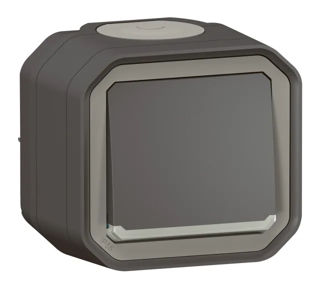 Interrupteur ou va-et-vient lumineux avec voyant étanche Plexo 10AX 250V~ IP55 IK08 complet fixation saillie – anthracite — Legrand — 069736L