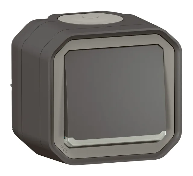 Interrupteur ou va-et-vient témoin avec voyant étanche Plexo 10AX 250V~ IP55 IK08 complet fixation saillie – anthracite — Legrand — 069721L