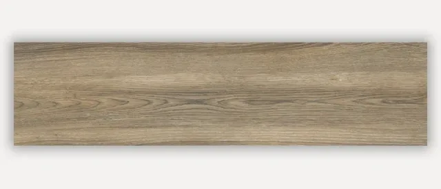 Real 15 × 60 cm — Carthago Ceramic