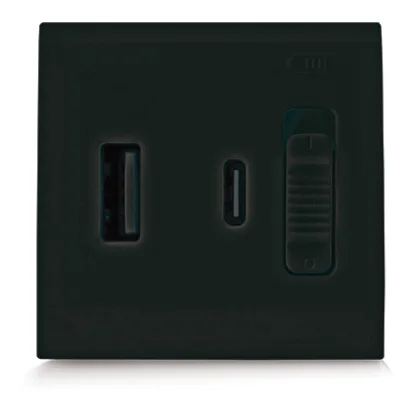 USB charger ultra-fast (PD) 20 W type A+C 2 modules NERA 43 — SOMEF 432085USB