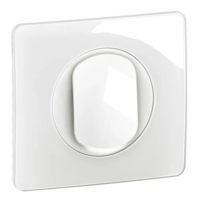 Legrand Céliane switch — 10A, 250V, 2 modules — CG1001