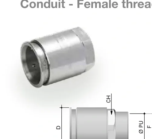 AISI 316L stainless steel quick coupling fittings — Conduit – Female thread 6112-xx