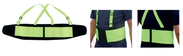 Prestige F211 back-support belt