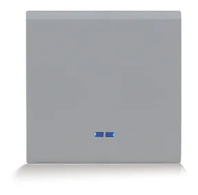 Push-button with integrated indicator 2 modules SYLVIA 43 — SOMEF 433005/2V