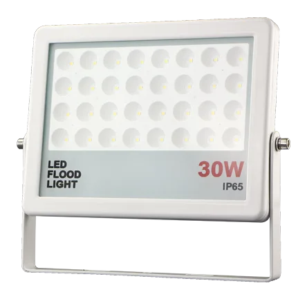PARIS 30 W LED floodlight