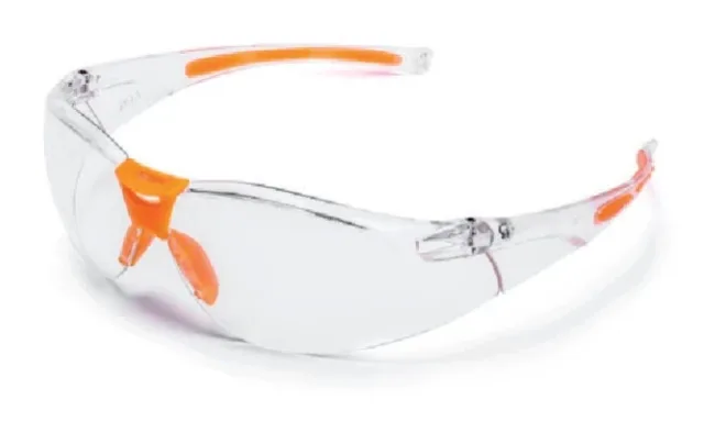Lunettes de protection Prestige GB013-3