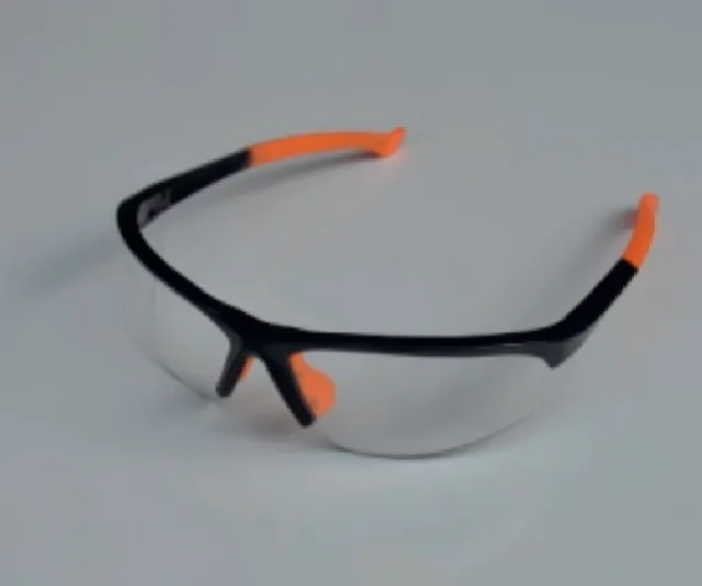 Lunettes de protection Prestige CPG12