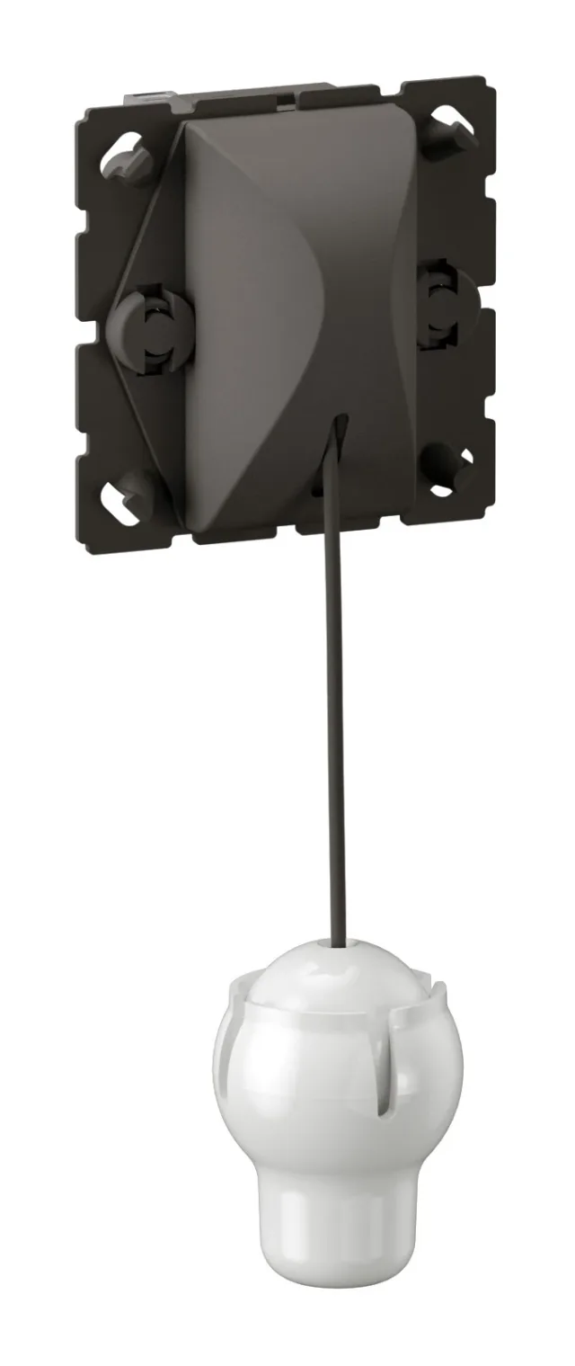 Legrand Céliane switch — 10A, 250V, 2 modules — CM0008
