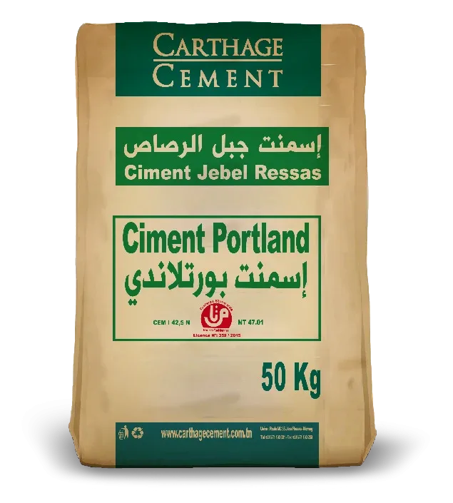 CEM I 42.5 N Portland cement — Carthage Cement