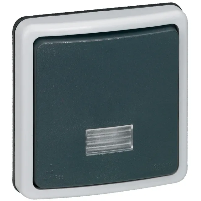 Interrupteur ou va-et-vient étanche à voyant 10A Plexo IP66 composable – gris — Legrand — 090480