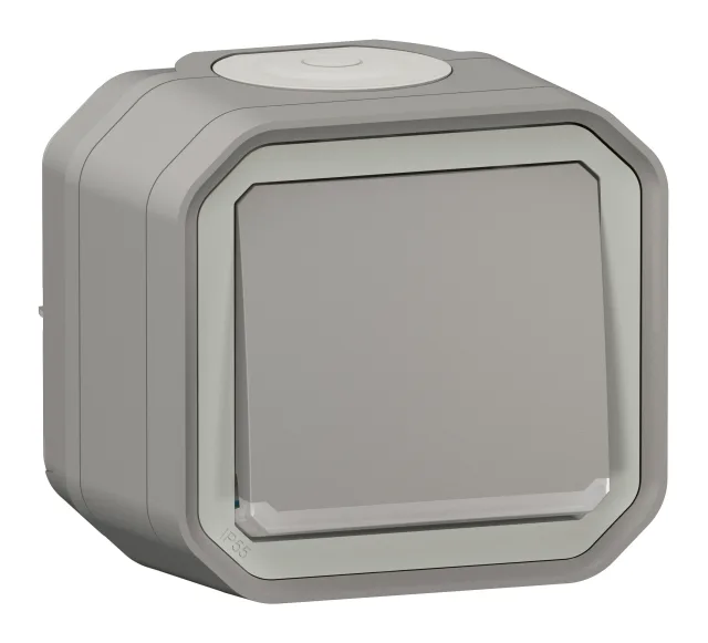 Interrupteur ou va-et-vient témoin avec voyant étanche Plexo 10AX 250V~ IP55 IK08 livré complet fixation saillie – gris — Legrand — 069712L