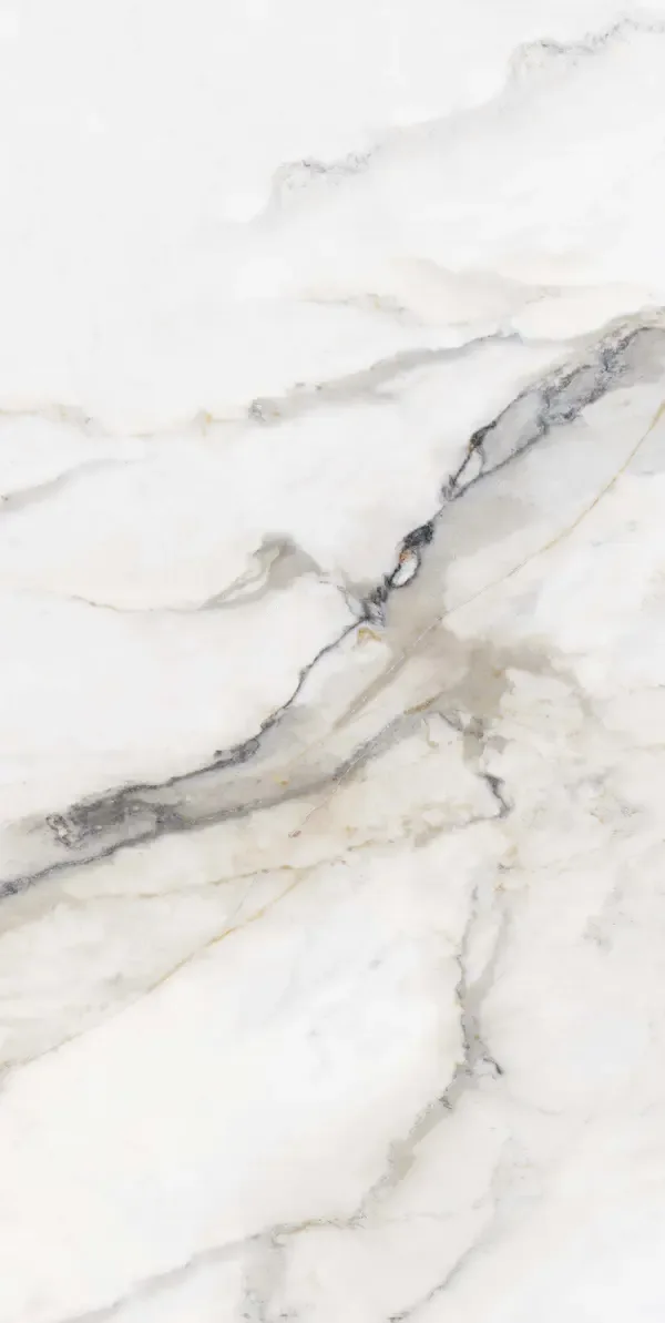 TAIGA 45 × 90 cm floor tile