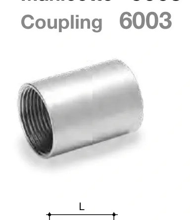 Accessories — Coupling 6003
