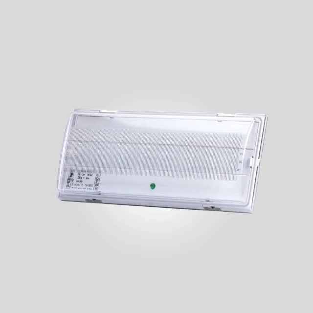 TRILED 300 emergency light – 320 lm, 1 h