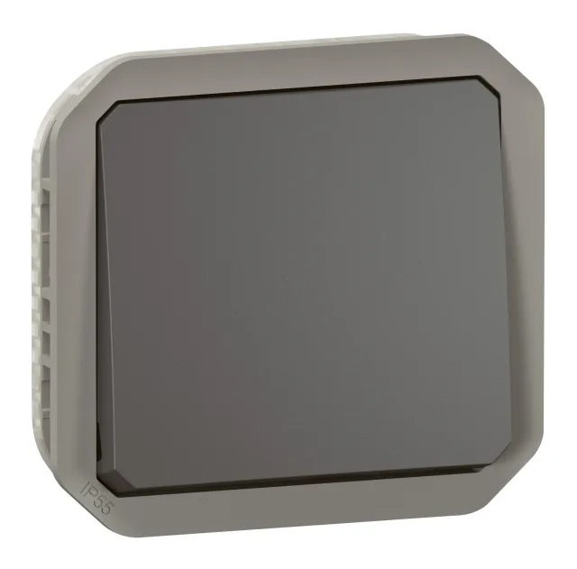 Legrand Plexo two-way switch — 10A, 250V — 069801L