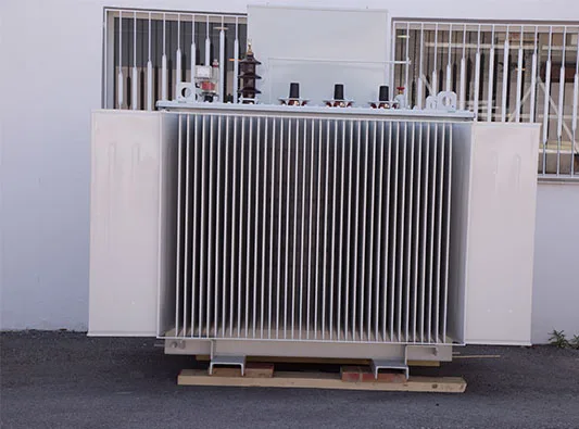 MV/LV distribution transformers