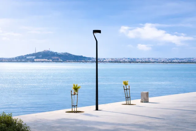 Poles and columns for outdoor lighting