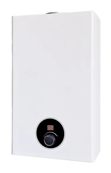 PG-02 — Gas water heater, natural-draught, single control, 6–10 L/min
