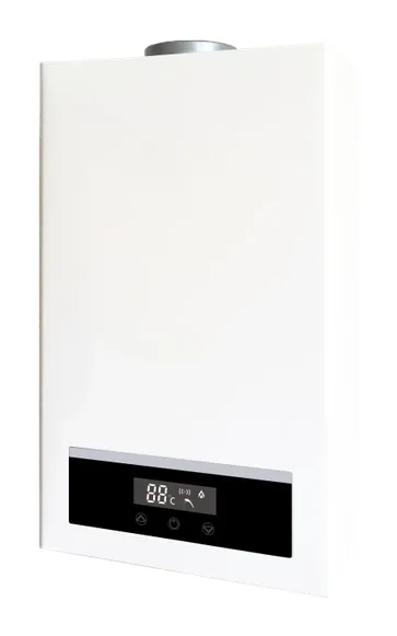 PRESTIGE PG-06 — Gas water heater, with electronic temperature control, 10–11 L/min