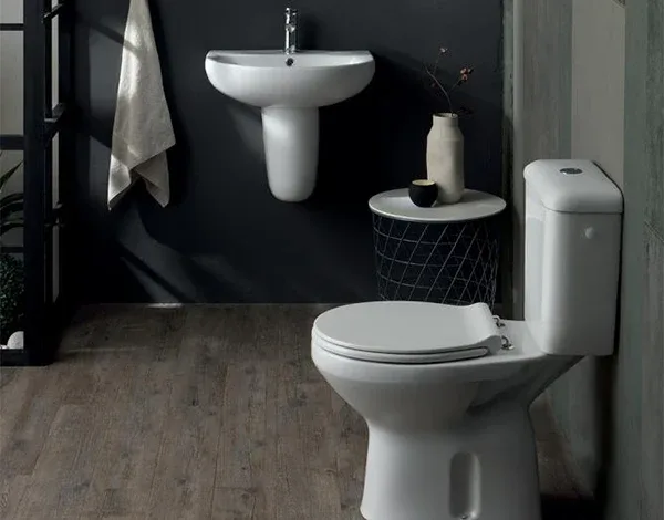 SANIMED Vectra close-coupled toilet