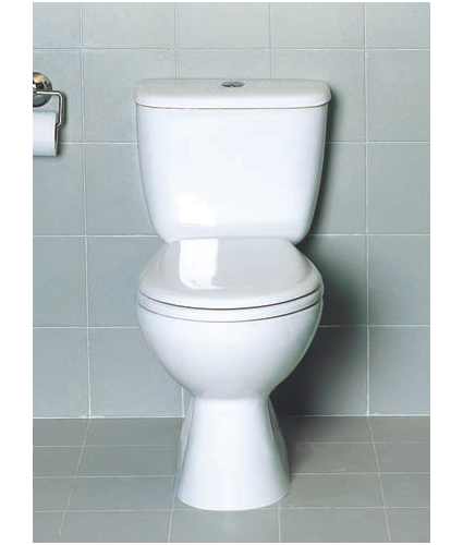 IDEAL SANITAIRE — WC monobloc sortie verticale- Turquoise — 106021