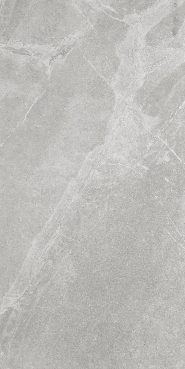 Carrelage SILVER 45 × 90 cm