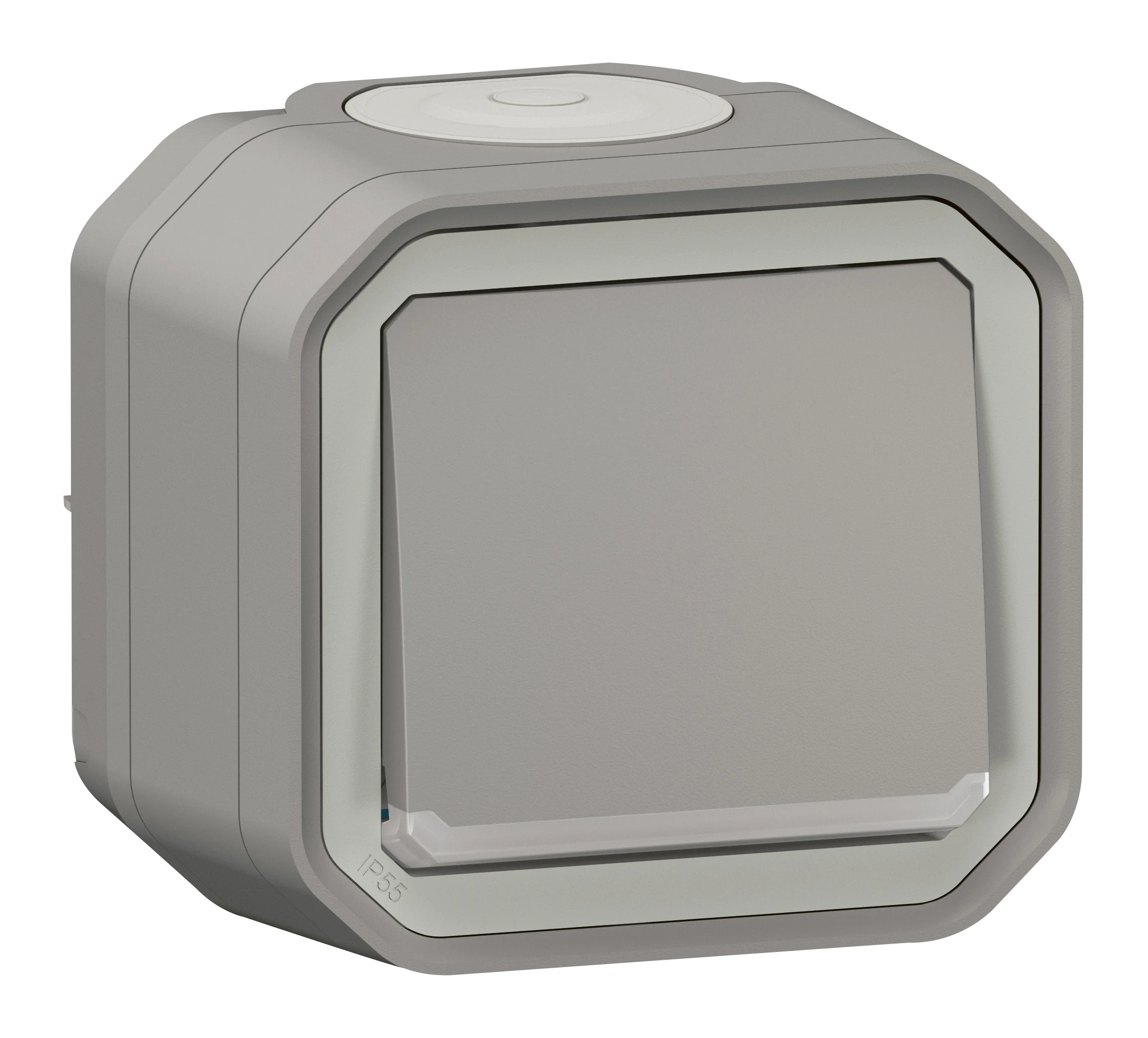 Poussoir NO lumineux avec voyant étanche Plexo 10A IP55 IK08 livré complet pour fixation saillie - gris — Legrand — 069722L