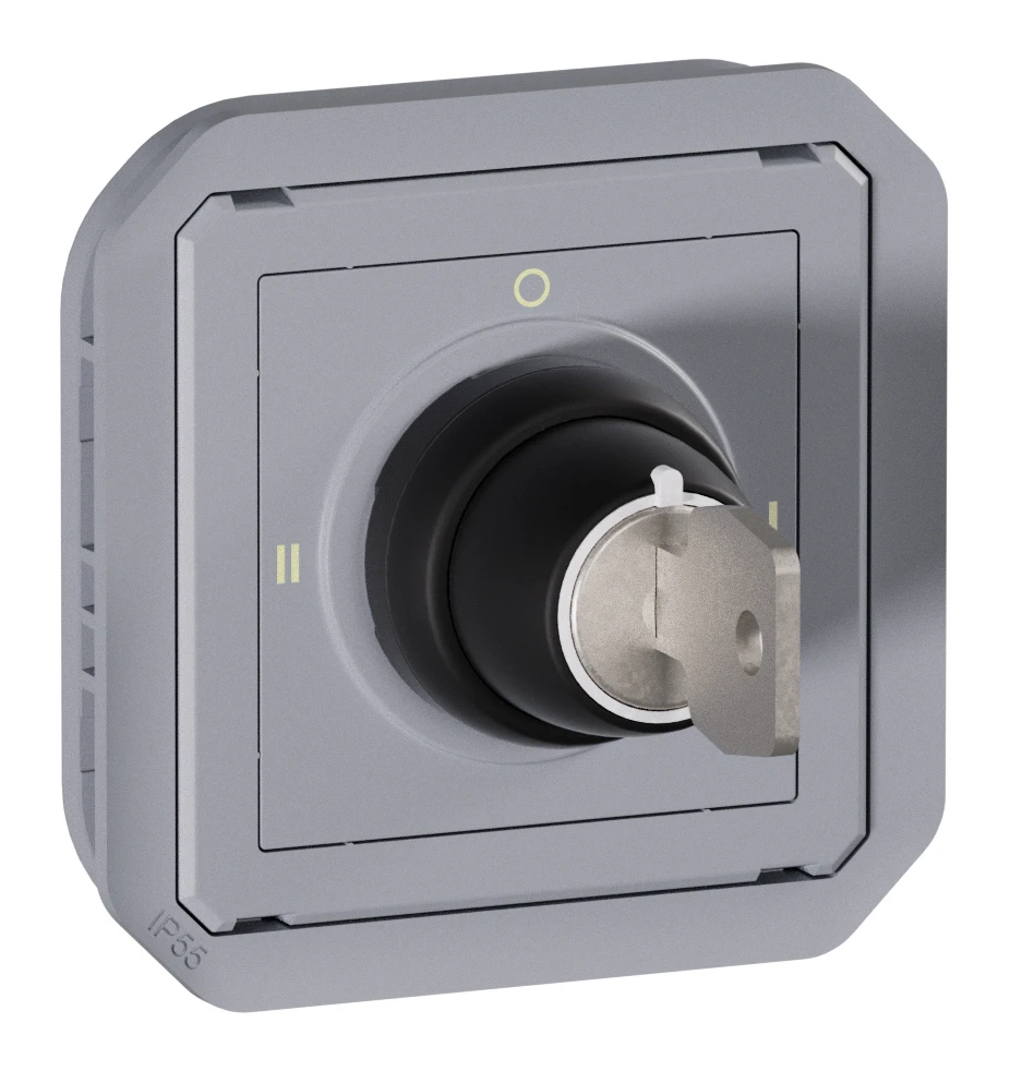 Legrand Plexo switch — 10A, 250V, Grey — 069535L