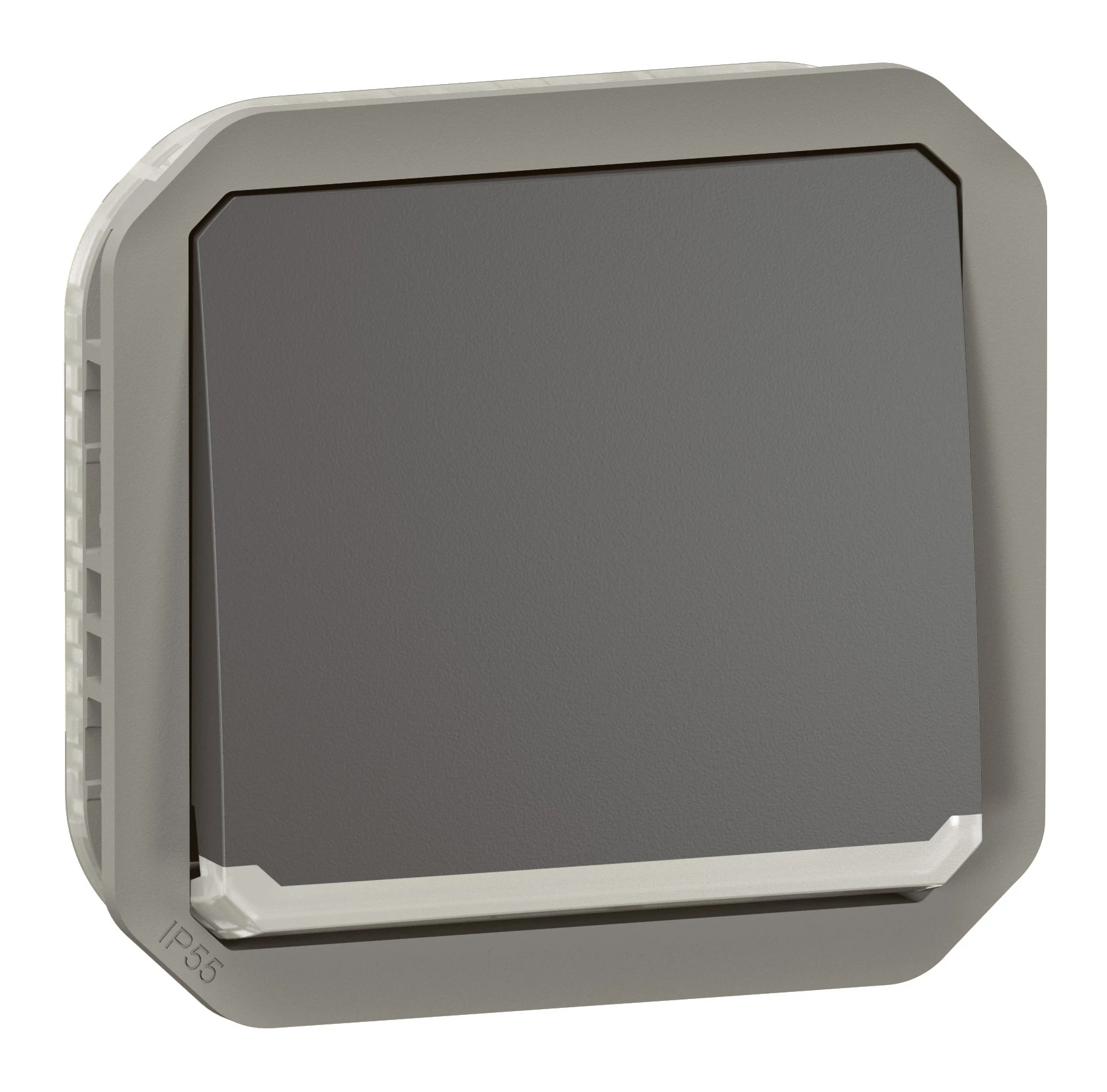 Legrand Plexo switch — 10A, 250V — 069827L