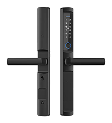 Smart door lock — AKUBELA F2