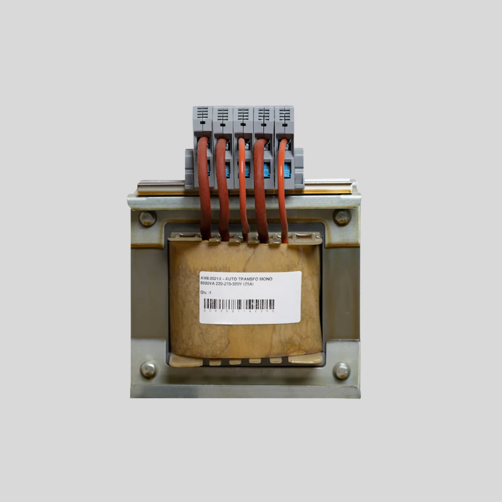 Autotransformateur monophasé 110–220 V
