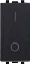 STIEL ALPHA 250V double-pole isolating switch carbon black