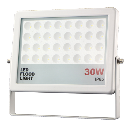 PARIS 30 W LED floodlight